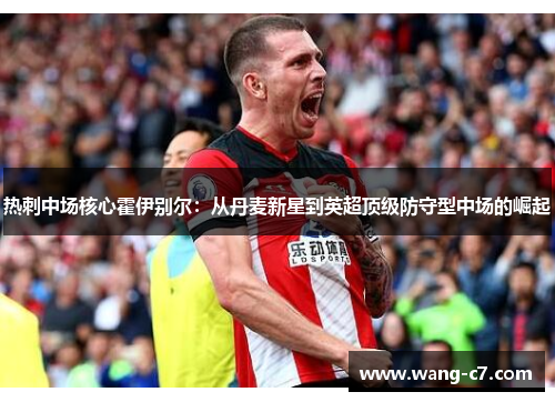 热刺中场核心霍伊别尔：从丹麦新星到英超顶级防守型中场的崛起